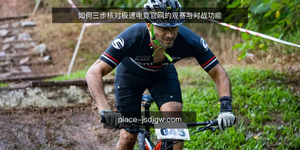 如何三步核对极速电竞官网的观赛与对战功能 — 为什么现在要核对极速电竞官网 配图