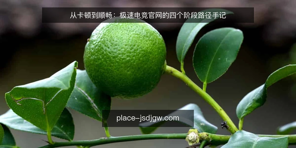 从卡顿到顺畅:极速电竞官网的四个阶段路径手记 — 起手阶段:一次观赛卡顿暴露的问题 配图
