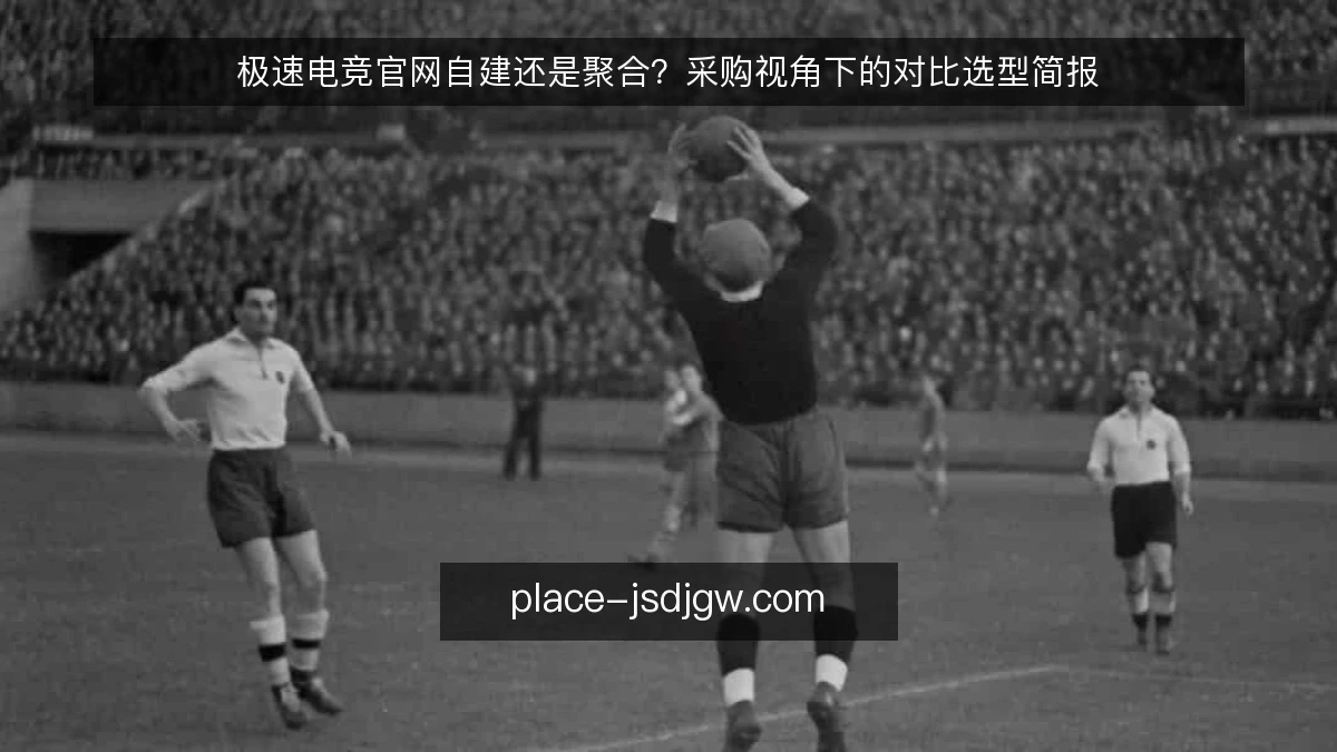 极速电竞官网自建还是聚合？采购视角下的对比选型简报