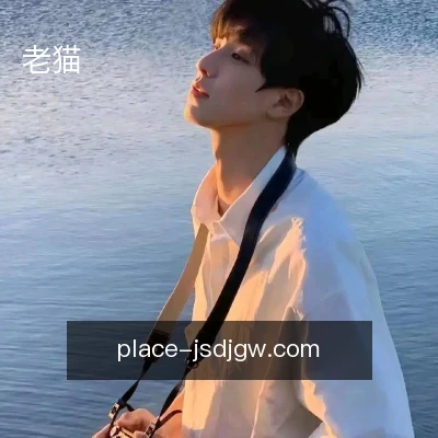 老猫